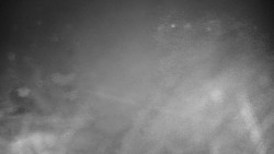 Veselíčko - zahrada u zámku