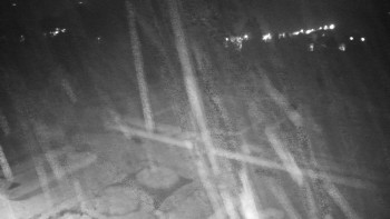 Snímek 16.11.2025 v 05:30