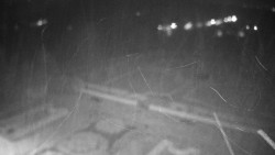 Veselíčko - zahrada u zámku