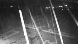 Veselíčko - zahrada u zámku