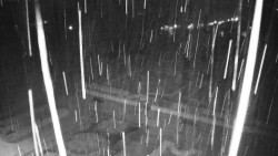 Veselíčko - zahrada u zámku