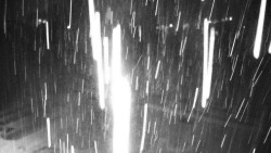 Veselíčko - zahrada u zámku