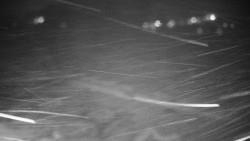 Veselíčko - zahrada u zámku