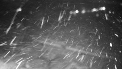 Veselíčko - zahrada u zámku