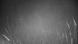 Veselíčko - zahrada u zámku