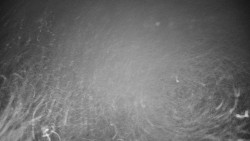 Veselíčko - zahrada u zámku