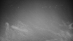 Veselíčko - zahrada u zámku