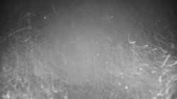 Veselíčko - zahrada u zámku