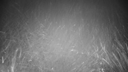 Veselíčko - zahrada u zámku