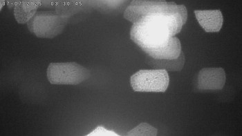 Snímek    7.7.2025 v 03:30