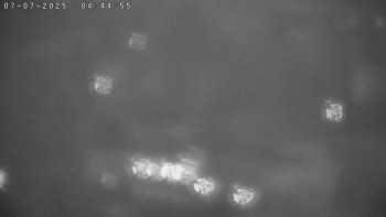 Snímek    7.7.2025 v 04:45