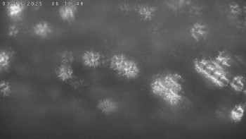 Snímek    3.11.2025 v 06:30