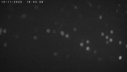 Humpolec z hradu Orlík