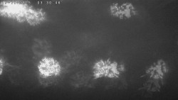 Humpolec z hradu Orlík