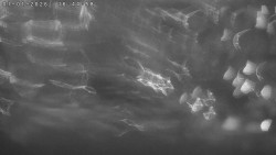 Humpolec z hradu Orlík