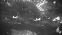 Humpolec z hradu Orlík