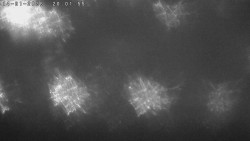 Humpolec z hradu Orlík