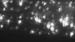 Humpolec z hradu Orlík