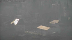 Humpolec z hradu Orlík