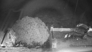 Obec Veselíčko - Veselíčko - zahrada u zámku - 1.1.2024 v 00:00