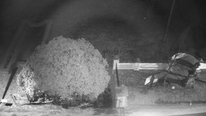 Obec Veselíčko - Veselíčko - zahrada u zámku - 1.1.2024 v 04:00