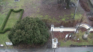 Obec Veselíčko - Veselíčko - zahrada u zámku - 1.1.2024 v 08:00