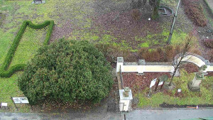 Obec Veselíčko - Veselíčko - zahrada u zámku - 1.1.2024 v 10:00