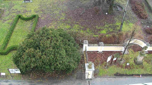 Obec Veselíčko - Veselíčko - zahrada u zámku - 1.1.2024 v 12:00