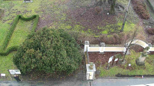 Obec Veselíčko - Veselíčko - zahrada u zámku - 1.1.2024 v 13:00