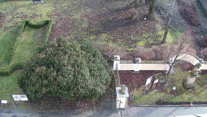 Obec Veselíčko - Veselíčko - zahrada u zámku - 1.1.2024 v 14:00