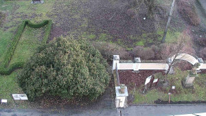 Obec Veselíčko - Veselíčko - zahrada u zámku - 1.1.2024 v 15:00