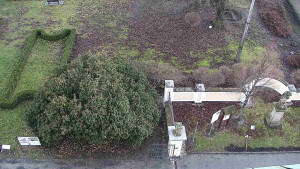 Obec Veselíčko - Veselíčko - zahrada u zámku - 1.1.2024 v 16:00