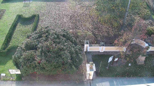 Obec Veselíčko - Veselíčko - zahrada u zámku - 8.11.2024 v 09:00 Obec Veselíčko - Veselíčko - zahrada u zámku - 8.11.2024 v 09:00