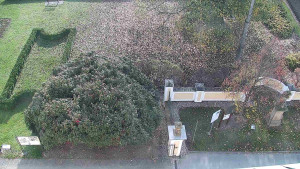 Obec Veselíčko - Veselíčko - zahrada u zámku - 8.11.2024 v 10:00 Obec Veselíčko - Veselíčko - zahrada u zámku - 8.11.2024 v 10:00