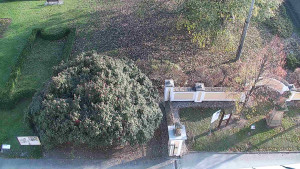 Obec Veselíčko - Veselíčko - zahrada u zámku - 8.11.2024 v 14:00 Obec Veselíčko - Veselíčko - zahrada u zámku - 8.11.2024 v 14:00