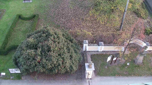 Obec Veselíčko - Veselíčko - zahrada u zámku - 8.11.2024 v 16:00 Obec Veselíčko - Veselíčko - zahrada u zámku - 8.11.2024 v 16:00