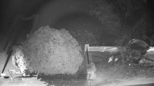 Obec Veselíčko - Veselíčko - zahrada u zámku - 8.11.2024 v 18:00 Obec Veselíčko - Veselíčko - zahrada u zámku - 8.11.2024 v 18:00