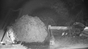 Obec Veselíčko - Veselíčko - zahrada u zámku - 8.11.2024 v 22:00 Obec Veselíčko - Veselíčko - zahrada u zámku - 8.11.2024 v 22:00