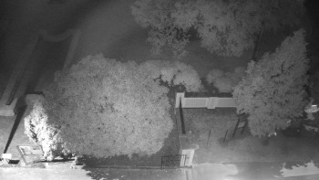 Snímek    12.5.2025 v 21:30
