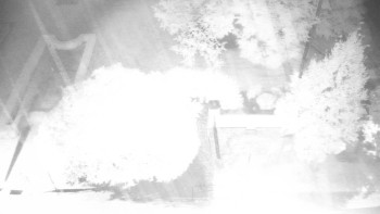 Snímek    14.9.2025 v 05:00