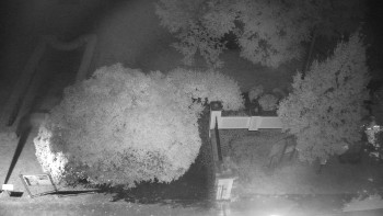 Snímek    15.9.2025 v 22:00