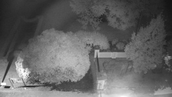 Snímek    19.9.2025 v 00:30