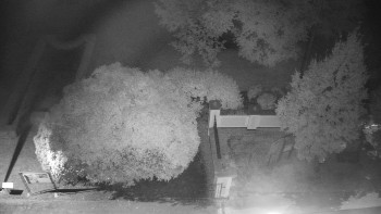 Snímek    19.9.2025 v 04:30