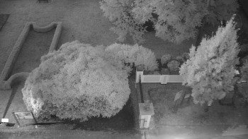 Snímek    19.9.2025 v 06:00