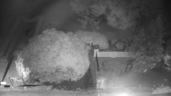 Snímek    14.10.2025 v 03:00