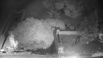 Snímek    14.10.2025 v 05:30