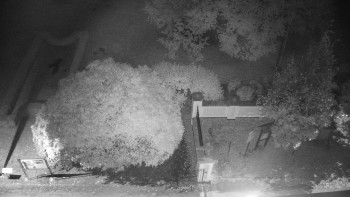 Snímek    14.10.2025 v 06:00