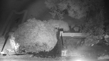 Snímek    14.10.2025 v 21:30