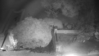 Snímek    16.10.2025 v 03:00