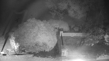 Snímek    16.10.2025 v 23:30